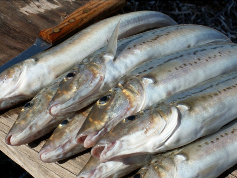 2 Morialta Drive, Tumby Bay SA 5605