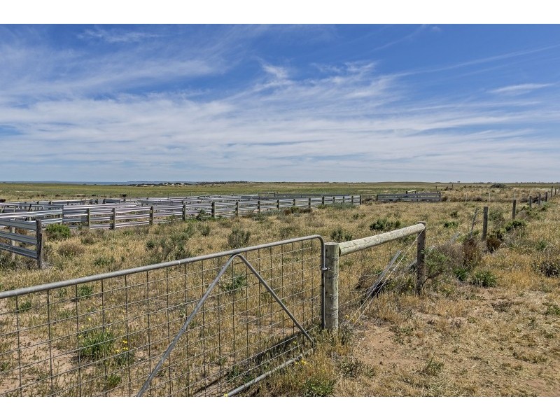 Koppi-Tucka 36755 Flinders Highway, Smoky Bay SA 5680