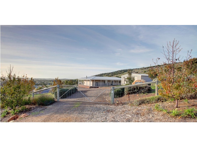 41-51(Lot 128) Thornbill Road, Boston SA 5607