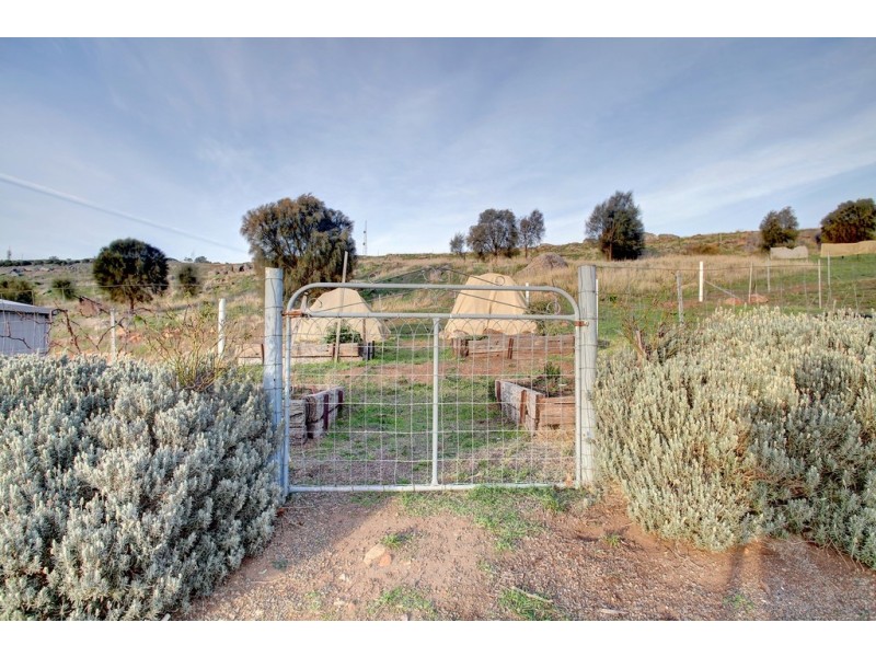 41-51(Lot 128) Thornbill Road, Boston SA 5607