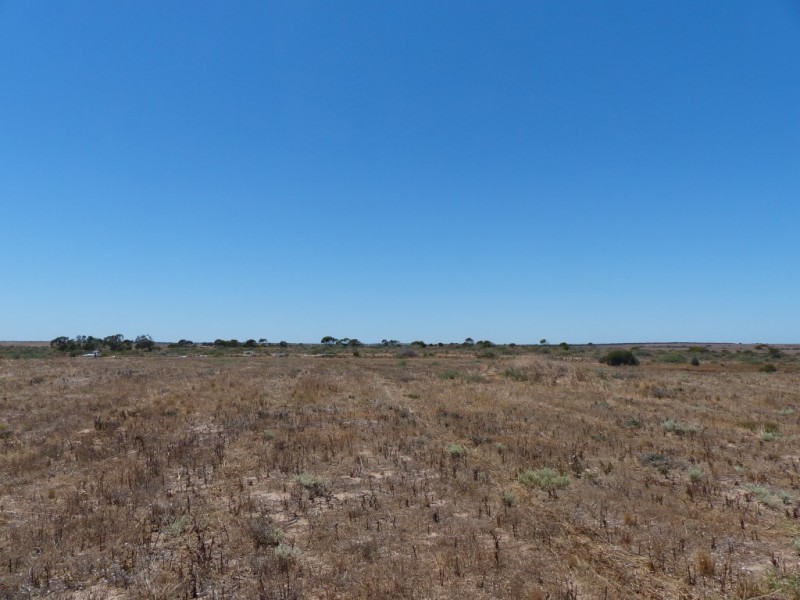 Lot 207 Trenowden Drive, Ceduna SA 5690