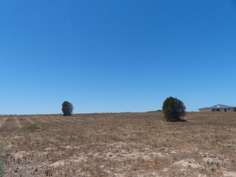 Lot 207 Trenowden Drive, Ceduna SA 5690