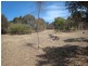 210-214 Roberts Road, Port Lincoln SA 5606