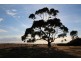 2338 Flinders Highway, Port Lincoln SA 5606