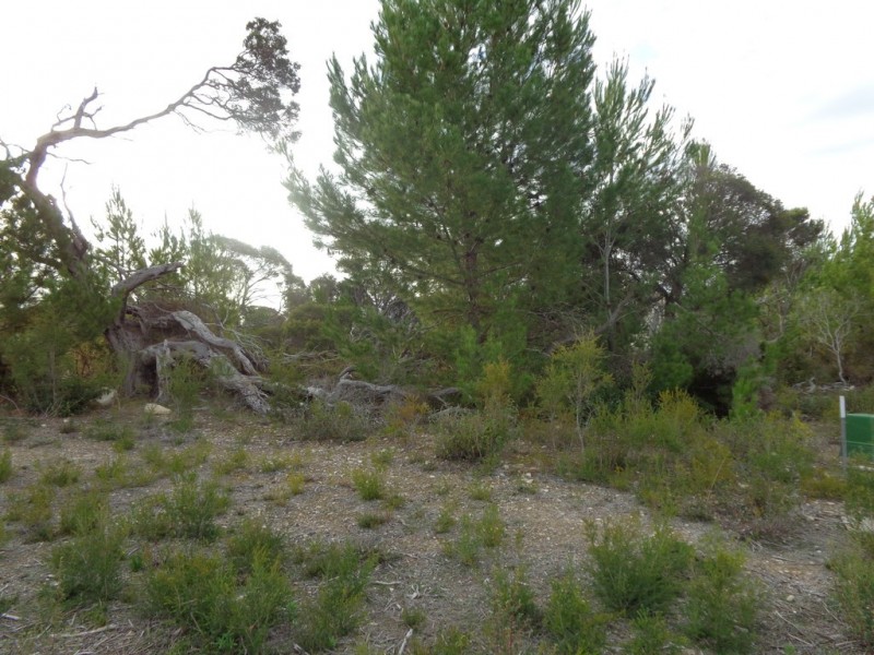 Lot 62 Vonnie Road, Coffin Bay SA 5607