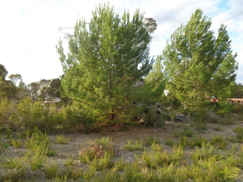 Lot 62 Vonnie Road, Coffin Bay SA 5607