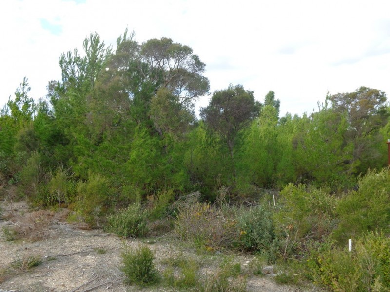 Lot 64 Minnamurra Street, Coffin Bay SA 5607