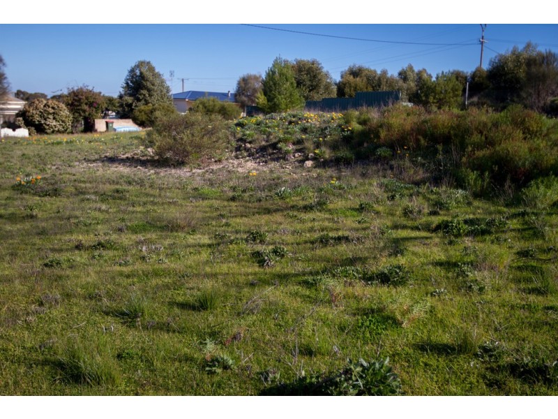Lot 209 First Street, Wangary SA 5607