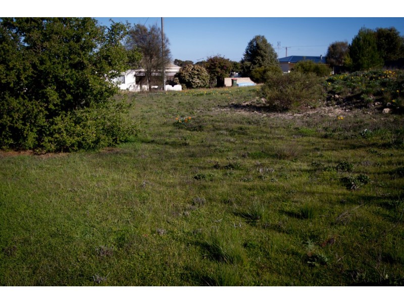 Lot 209 First Street, Wangary SA 5607