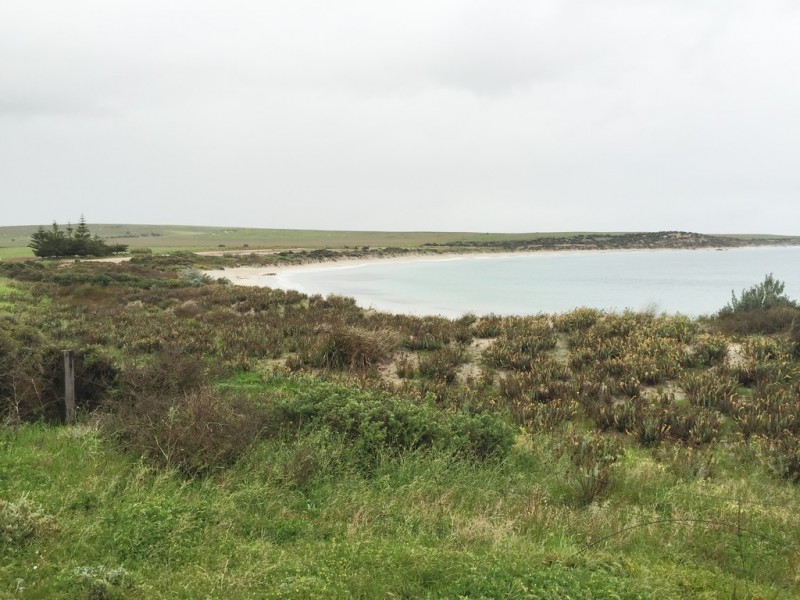 Lot 5 Coast Road, Port Neill SA 5604