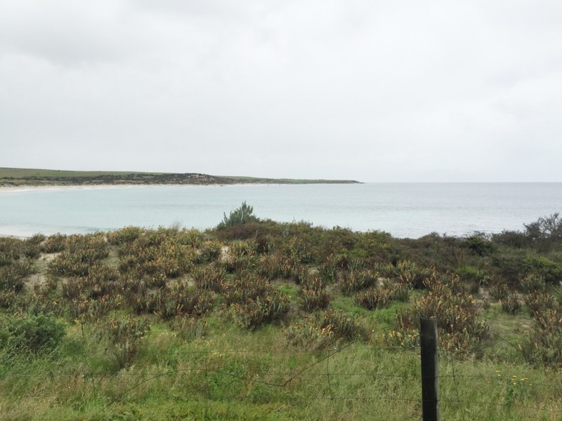 Lot 5 Coast Road, Port Neill SA 5604