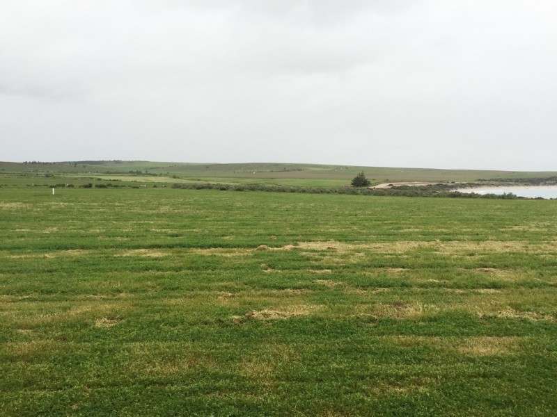 Lot 5 Coast Road, Port Neill SA 5604