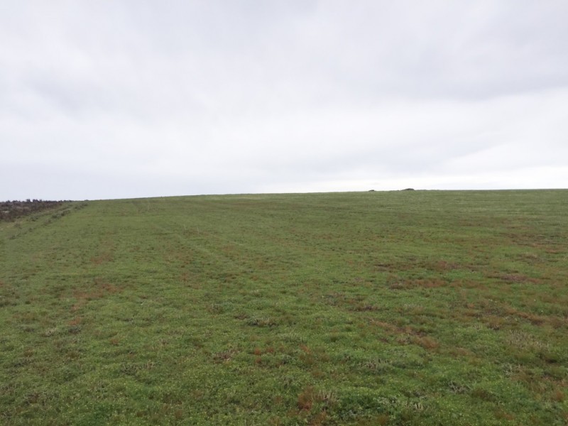 Lot 5 Coast Road, Port Neill SA 5604