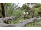 3 Kurla Street, Port Lincoln SA 5606