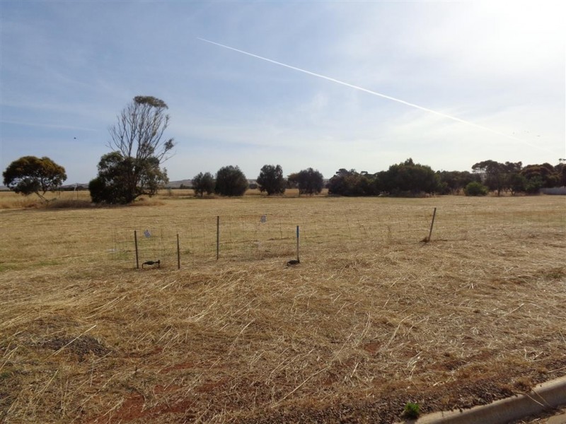 Lot 1 Hirschausen Road, Poonindie SA 5607