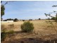 Lot 1 Hirschausen Road, Poonindie SA 5607