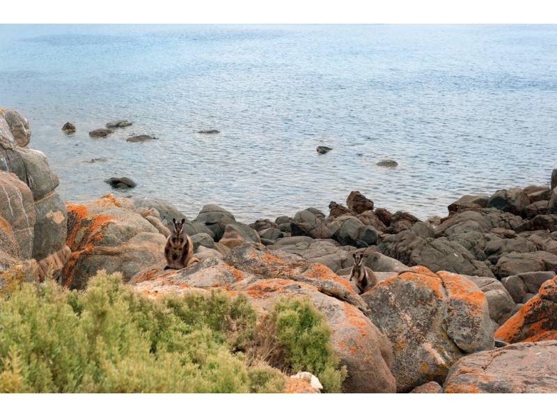 Lot 26 Whalers Bay, Thistle Island Via, Port Lincoln SA 5606