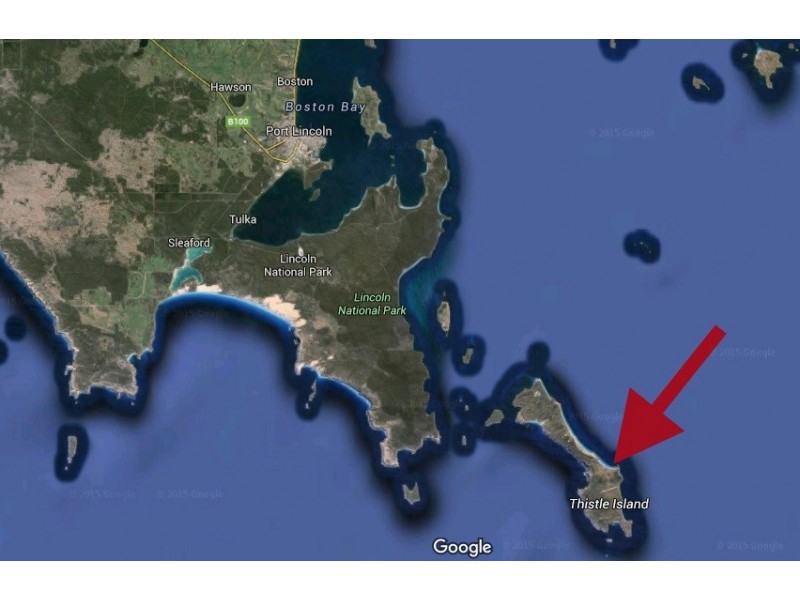 Lot 25 Thistle Island, Via Port Lincoln, Port Lincoln SA 5606