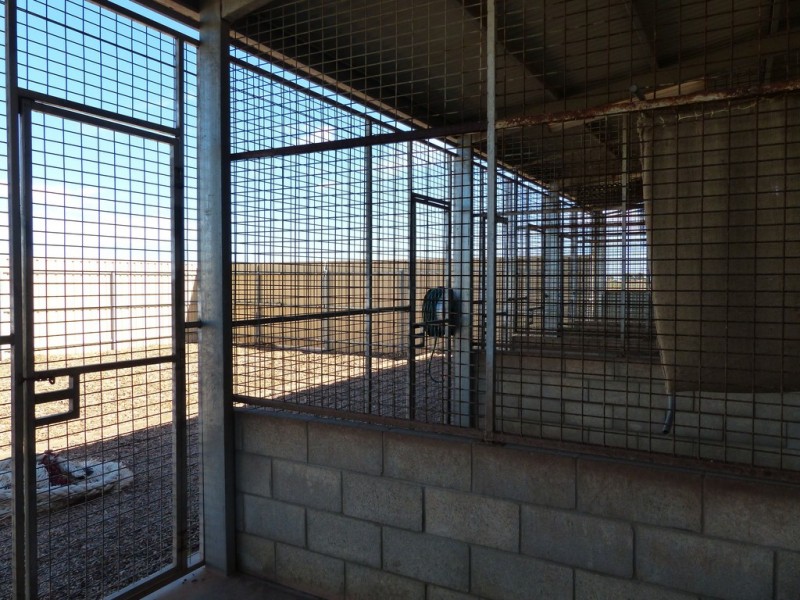 39-49 Collins Street, Ceduna SA 5690