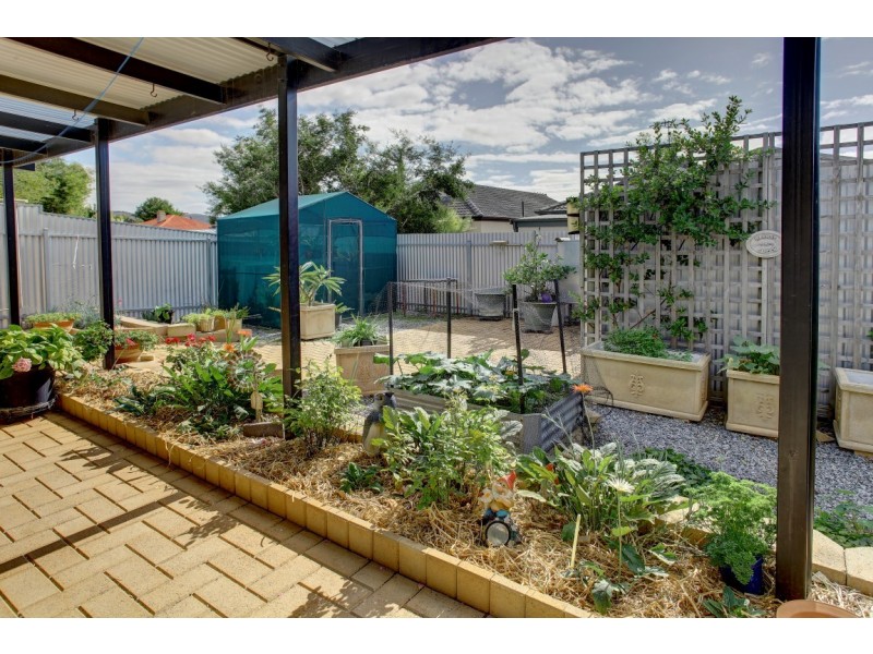 19 Blackman Place, Port Lincoln SA 5606