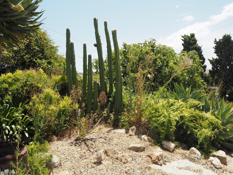 44 Oxford Tce, Port Lincoln SA 5606