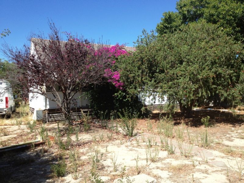 19 Cummins Street, Willagee WA 6156