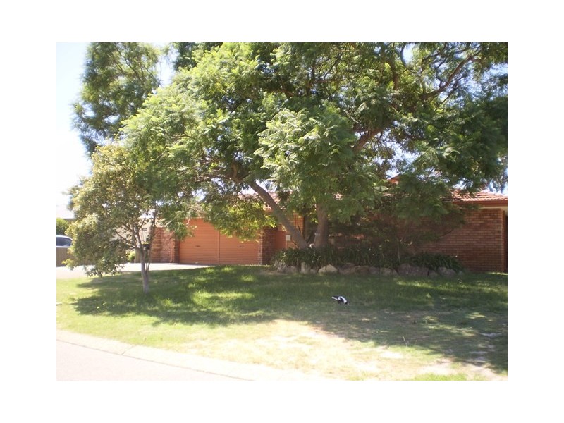 12 Mallard Avenue, Bibra Lake WA 6163