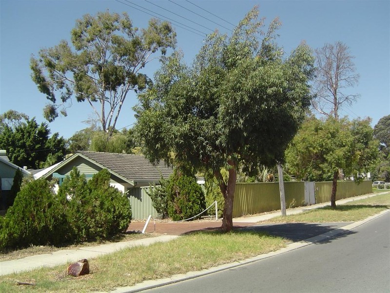 1 Muriel Court, Cockburn Central WA 6164