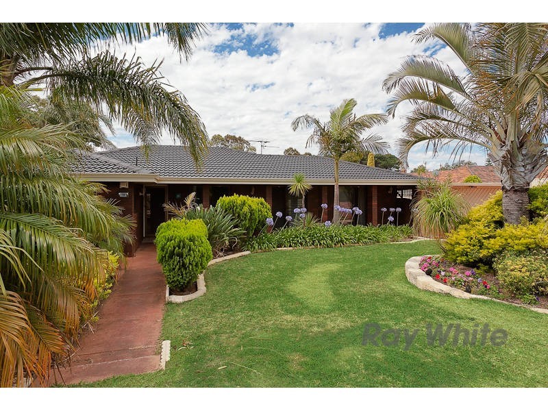 19 Passey Place, Kardinya WA 6163