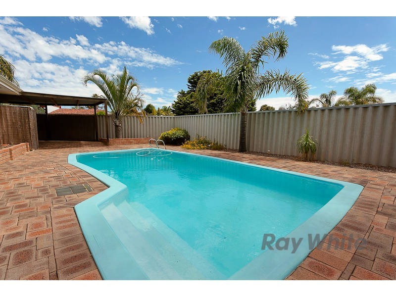 19 Passey Place, Kardinya WA 6163