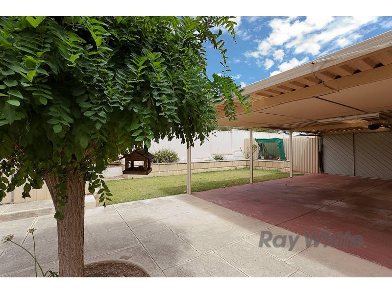 19 Passey Place, Kardinya WA 6163