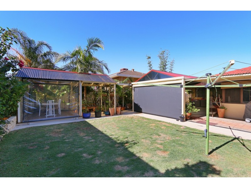 41 Ainslie Court, Kardinya WA 6163