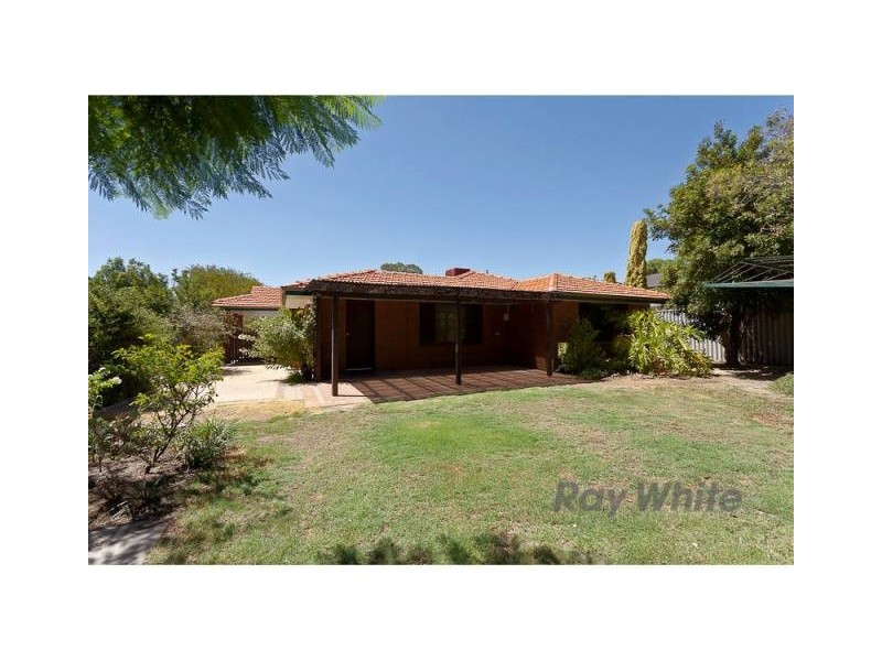56 Davies Cres, Kardinya WA 6163