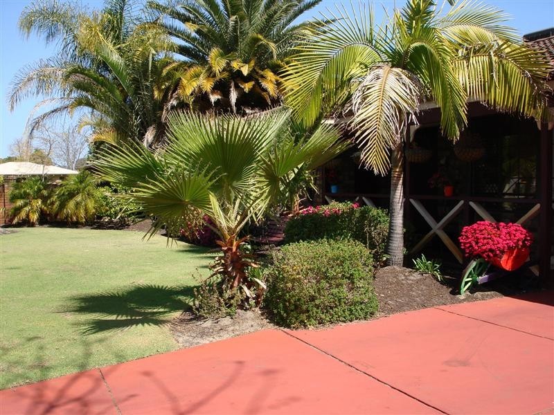 9 Marlene Way, Bibra Lake WA 6163