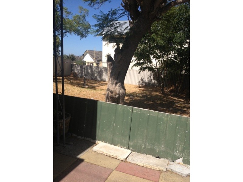 31 Curven Road, Hamilton Hill WA 6163