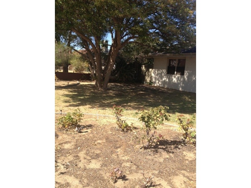 31 Curven Road, Hamilton Hill WA 6163