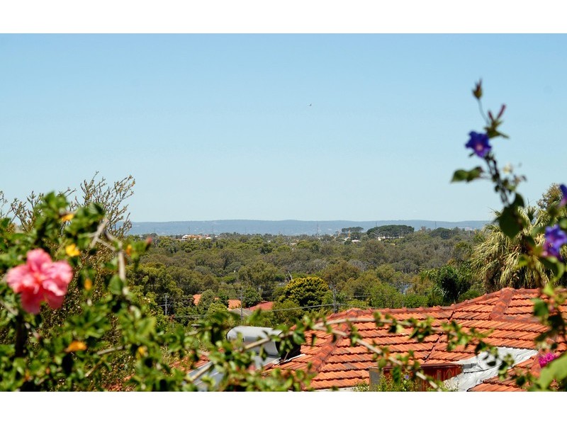 14 Cameron Way, Kardinya WA 6163