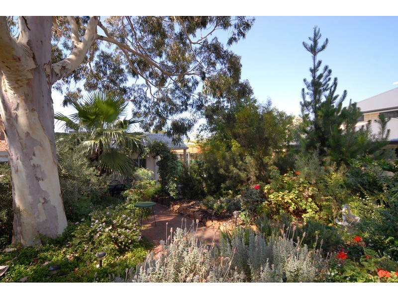 13 Ralston Rd, Kardinya WA 6163