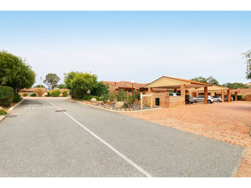 13/11-15 Petterson, Samson WA 6163