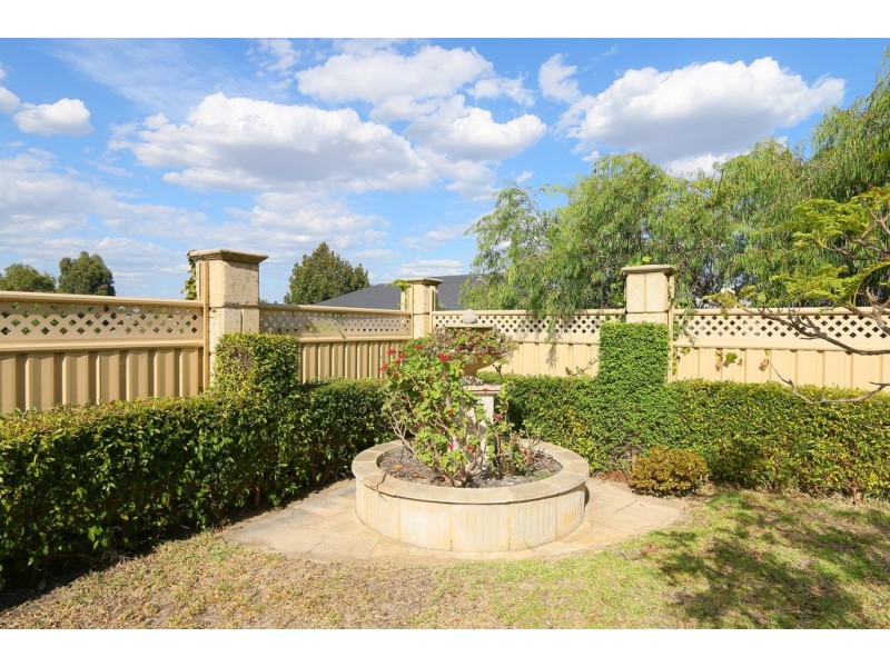 41 Friarbird Terrace, Beeliar WA 6164