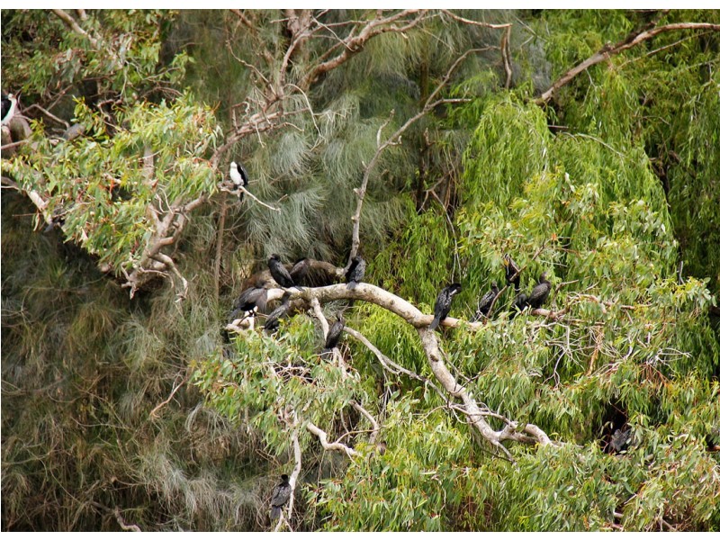 7/9 Clydesdale Street, Como WA 6152