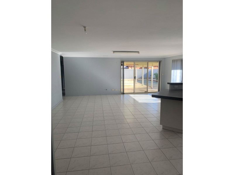 7 Cottonwood Place, O’connor WA 6163