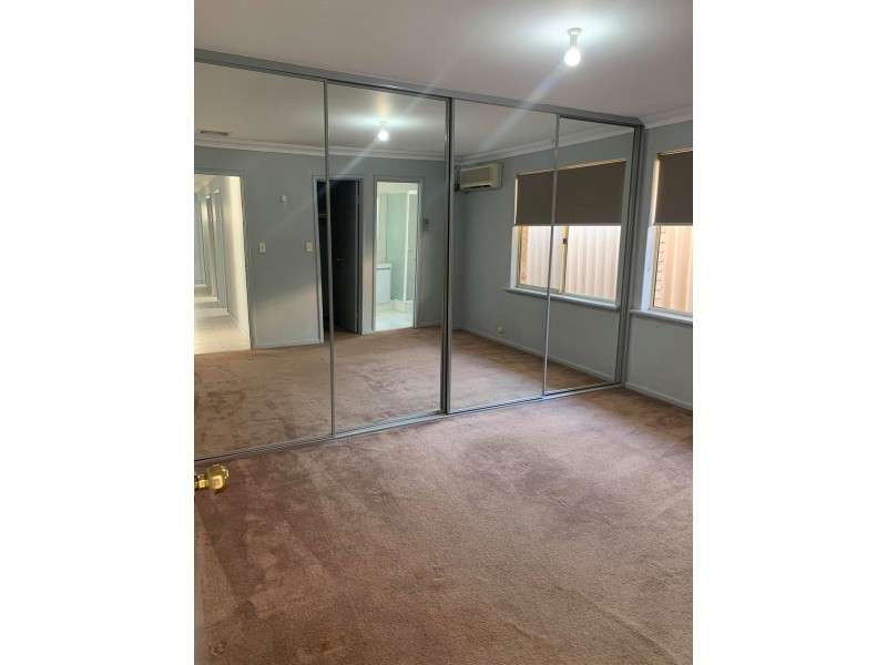 7 Cottonwood Place, O’connor WA 6163