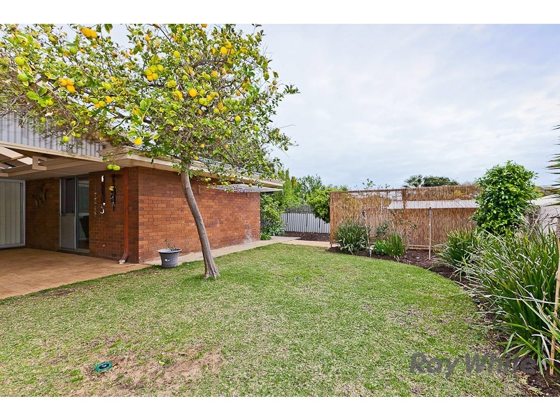11 Passey Place, Kardinya WA 6163