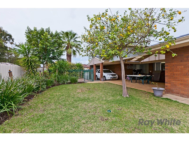 11 Passey Place, Kardinya WA 6163