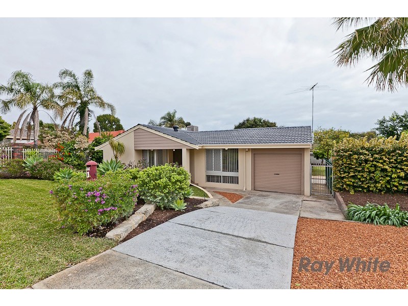 11 Passey Place, Kardinya WA 6163