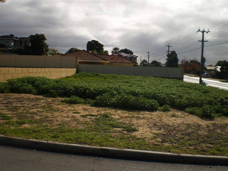 107  Gilbertson Road, Kardinya WA 6163