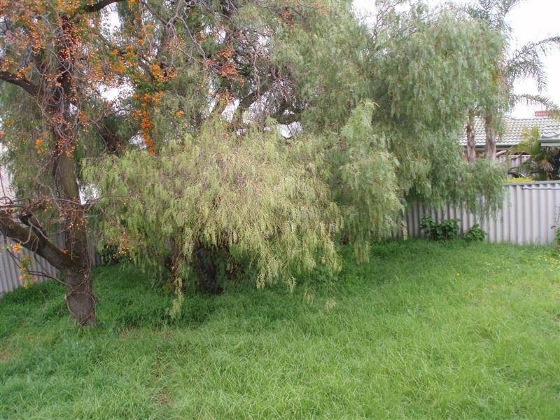 276  Stock Rd, Willagee WA 6156