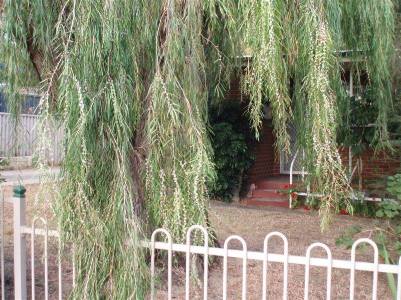 4a Belarius Street, Coolbellup WA 6163