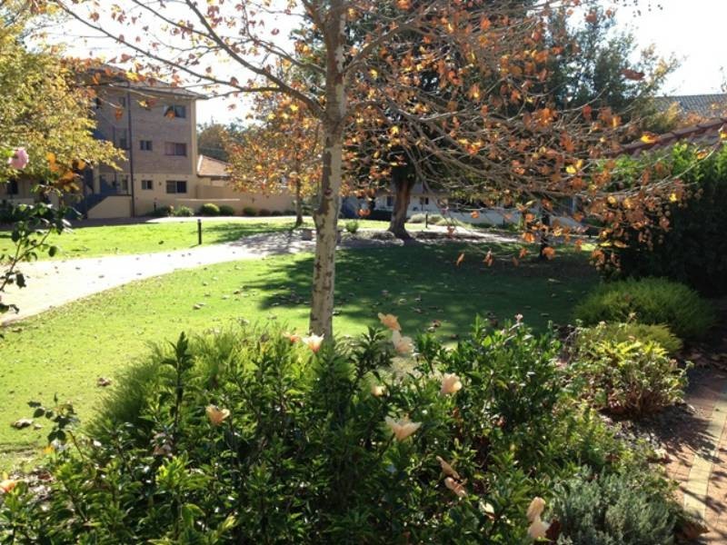 16/2 Gregory Way, Coolbellup WA 6163